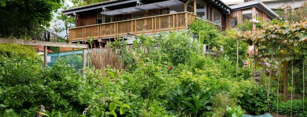 A garden growing fruit and vegetables.